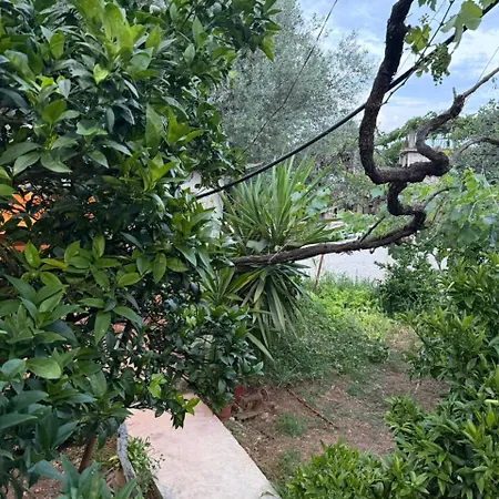 The Hidden Orchard Near Saranda Delvine