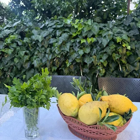 The Hidden Orchard Near Saranda Ferienhaus