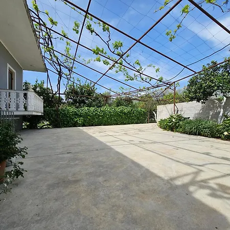 The Hidden Orchard Near Saranda *