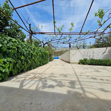 The Hidden Orchard Near Saranda